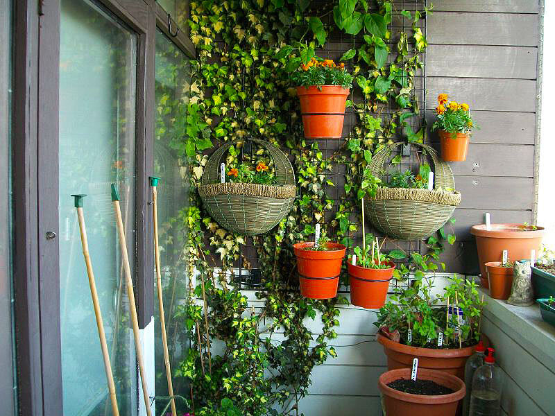 Современные решения для обустройства Современные решения для обустройства